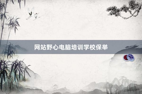 网站野心电脑培训学校保举