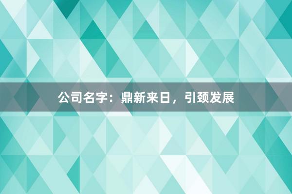 公司名字：鼎新来日，引颈发展