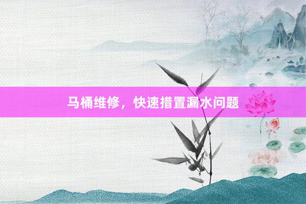 马桶维修，快速措置漏水问题