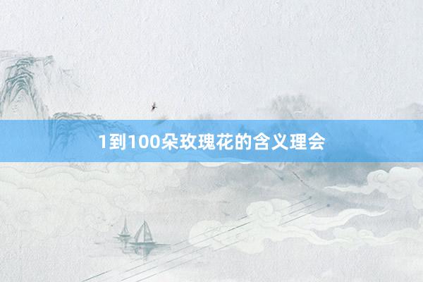 1到100朵玫瑰花的含义理会